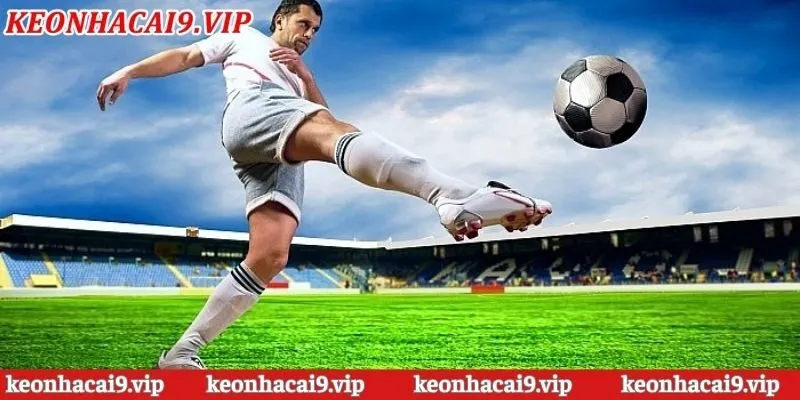 Lý do vì sao người xem cần link xem bóng đá mới nhất mỗi ngày